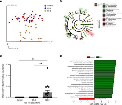 Children with idiopathic short stature have significantly different gut microbiota than their normal height siblings: a case-control study